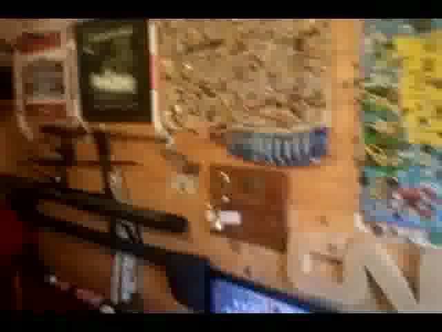 Allan